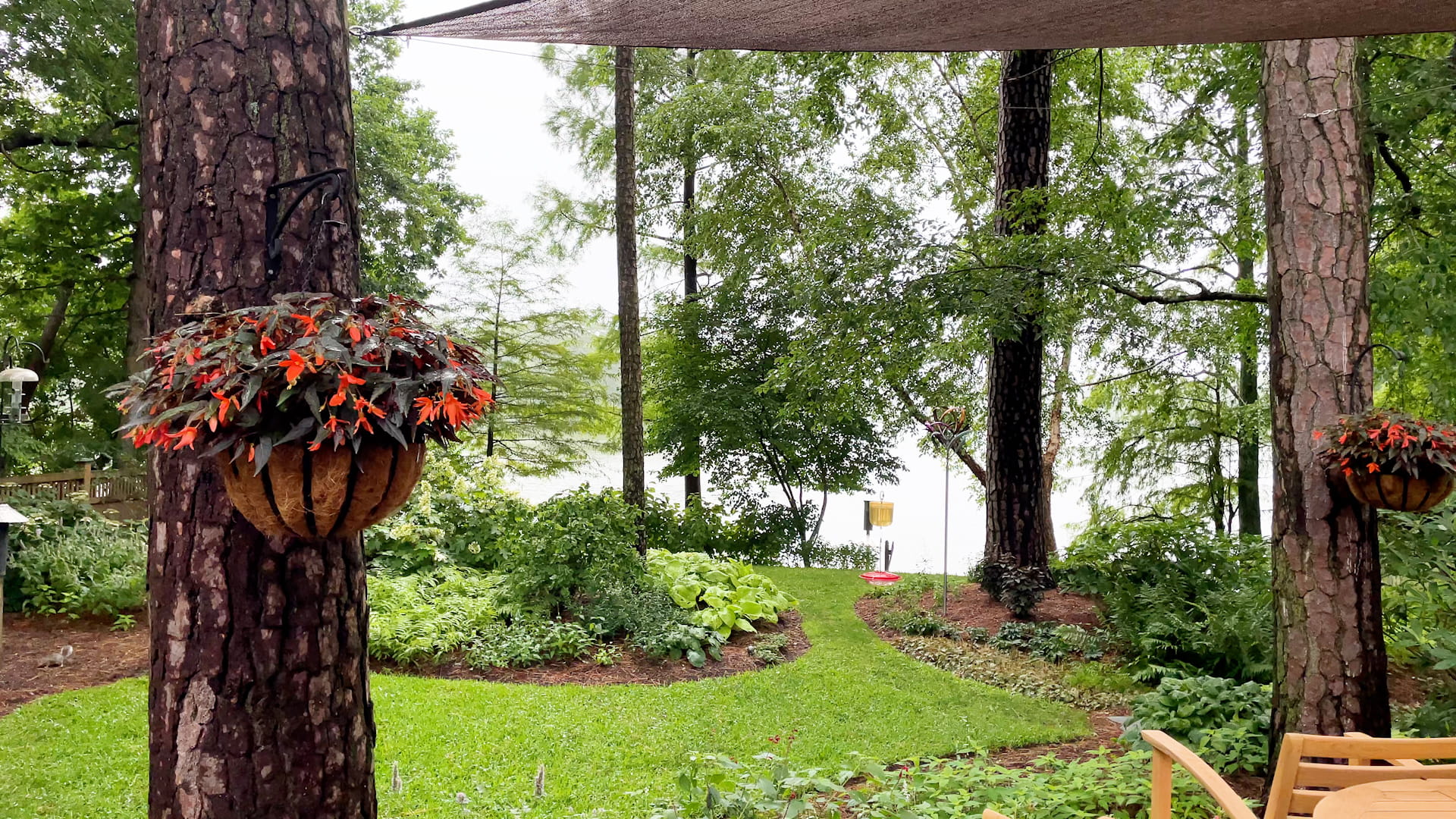 A tranquil lawn and bench overlooking a wooded area